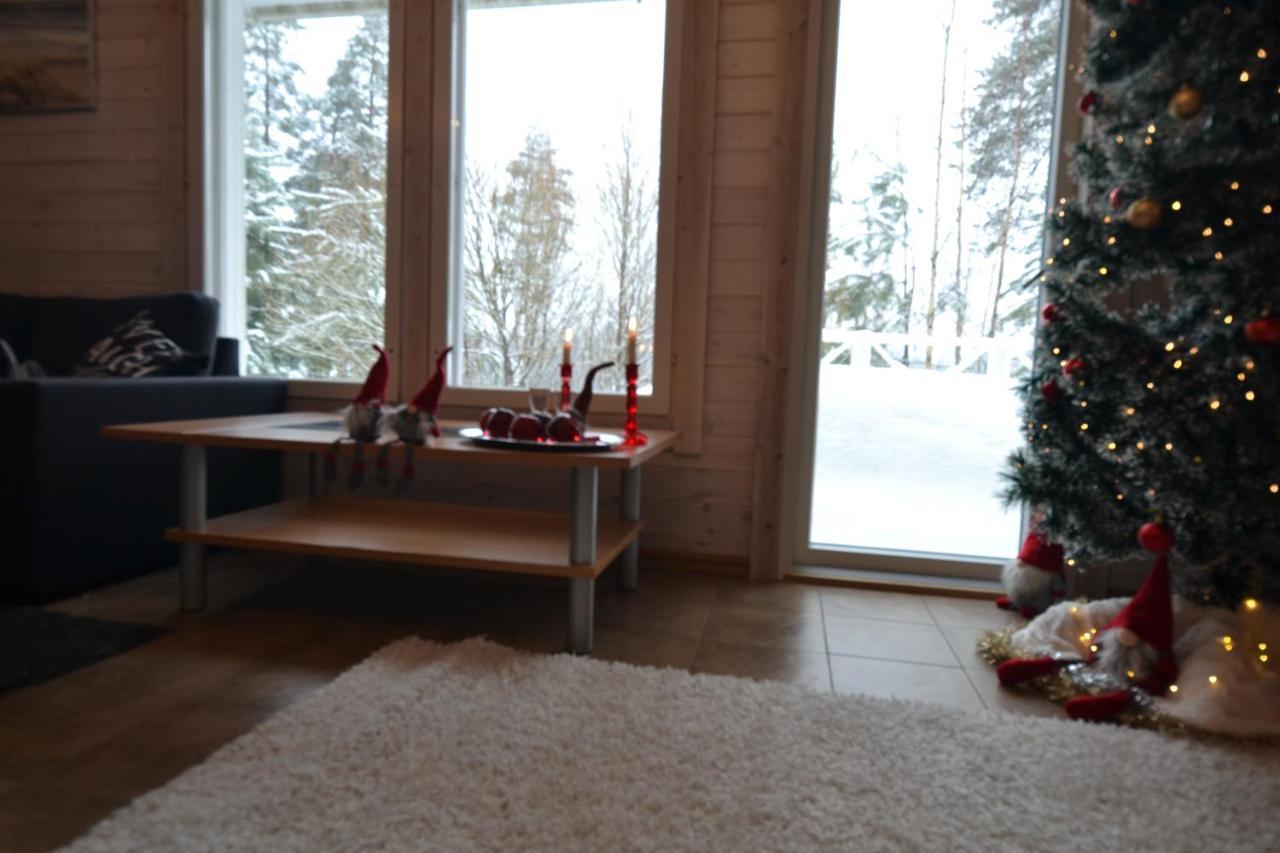 Valentin Cottage Enonkoski Exteriér fotografie